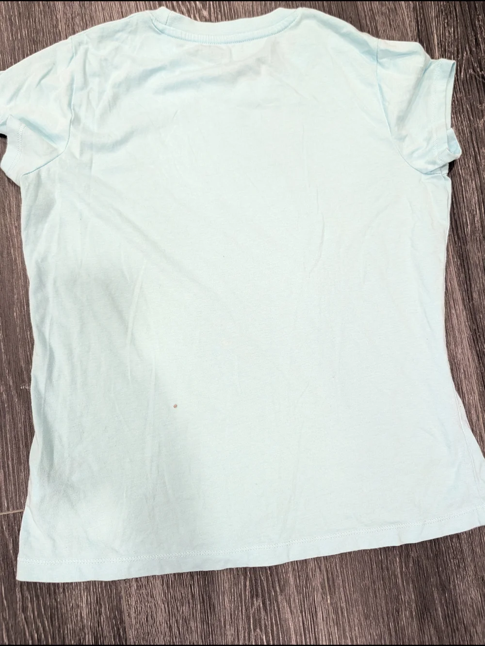 Champion Women's Light Blue Logo Tee with Pink Script